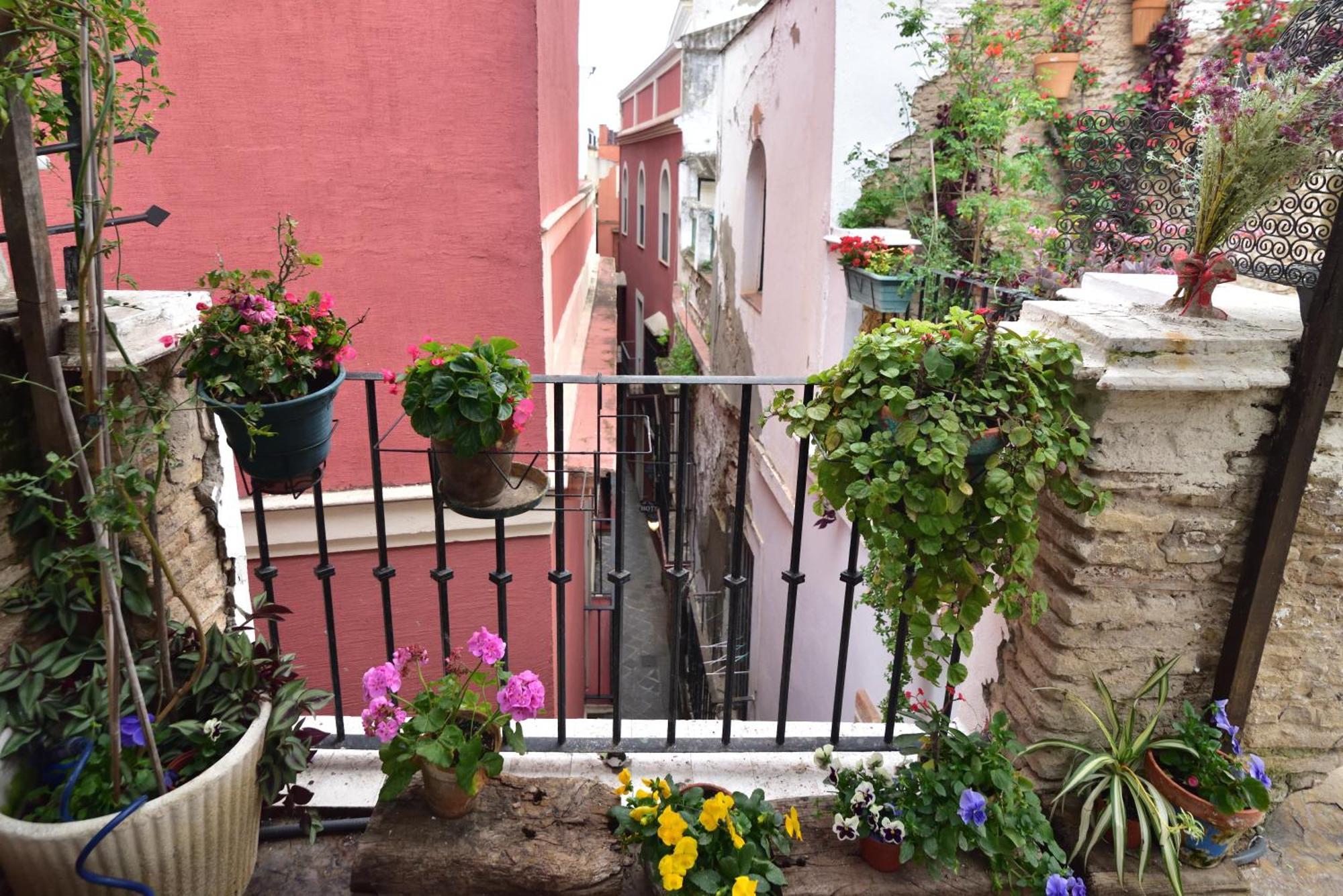 Accommodatie bij particulieren Dona Ines Barrio Santacruz Sevilla
